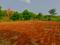 Palaspa Main Image 1