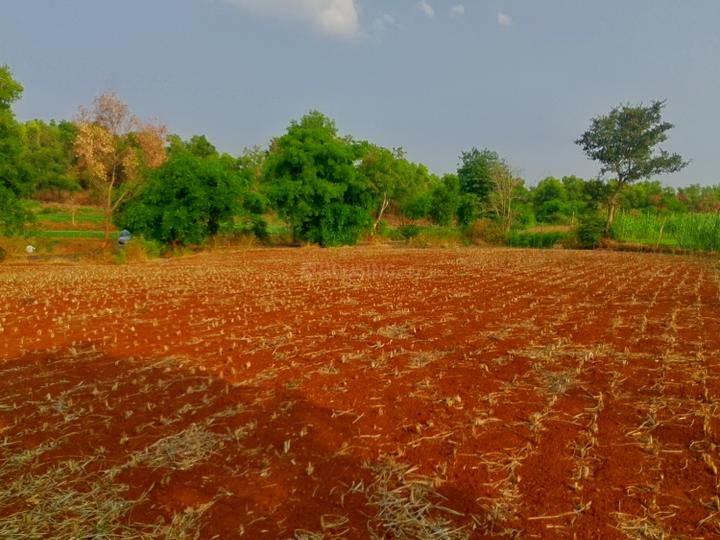 Palaspa Main Image 1