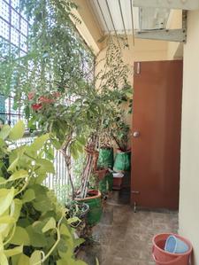 Balcony Image of 1315 Sq.ft 2 BHK Apartment / Flat for sale in BEML Cooperative Society Layout Bengaluru for Rs. 7120000