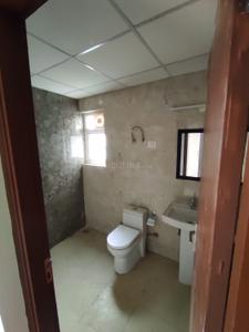 Bathroom Image of 1245 Sq.ft 2 BHK Apartment / Flat for rent in ACE Divino, Noida Extension Greater Noida for Rs. 24000