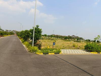 Sreenidhi Estates Serengeti Plot View 3