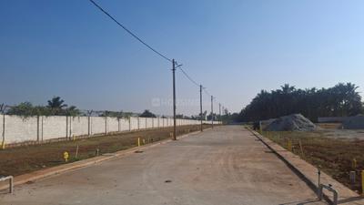 Image of 1000 Sq.ft 2 BHK Apartment / Flat for sale in Tiptur, Tumkur for Rs. 2500000