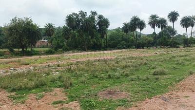 Image of 2000 Sq.ft Residential Plot / Land for sale in Toria Mohalla, Chhatarpur for Rs. 3600000