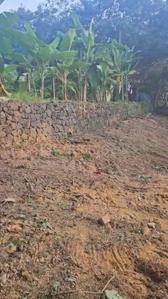 Image of 93654 Sq.ft Residential Plot / Land for sale in Chottanikkara, Kochi for Rs. 6450000