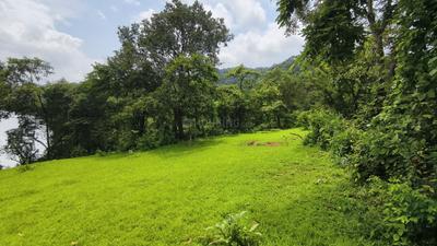 Image of 80000 Sq.ft Residential Plot / Land for sale in MV Mango Lakefront Tapola Phase 1, Ahire, Satara for Rs. 25000000