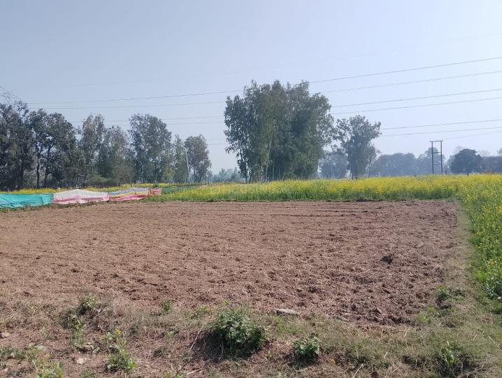 Ablazestar Gokul City Main Image 1