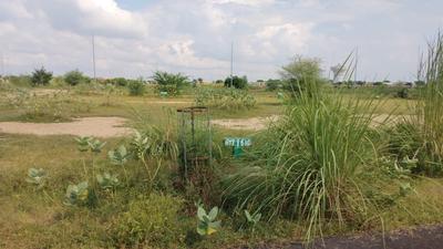 Yeida Plot View 2