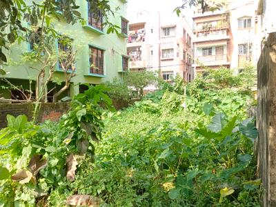 Image of 1620 Sq.ft Residential Plot / Land for sale in Madurdaha, Kolkata for Rs. 8200000