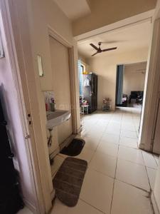 Bathroom Image of 812 Sq.ft 2 BHK Apartment / Flat for sale in Kothrud Pune for Rs. 13000000