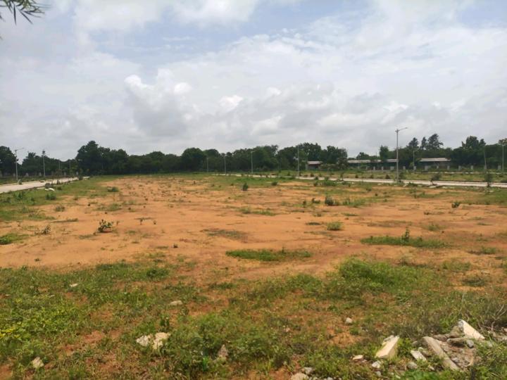 Prime Estates Main Image 1