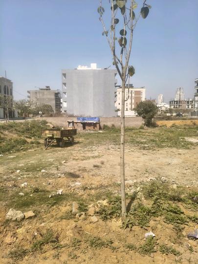 Dlf phase 2 Main Image 1