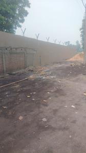 Paijawa Plot View 3