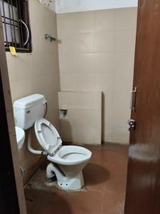 Bathroom Image of 1150 Sq.ft 3 BHK Apartment / Flat for rent in SRS Royal Hills, Sector 87 Faridabad for Rs. 18000