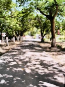 Image of 7201 Sq.ft Residential Plot / Land for sale in Palam Vihar, Gurgaon for Rs. 181300000