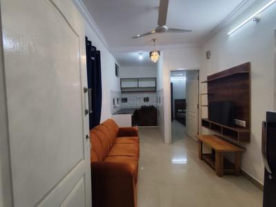 1 BHK Apartment