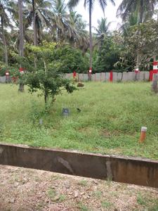 Residential Plot
