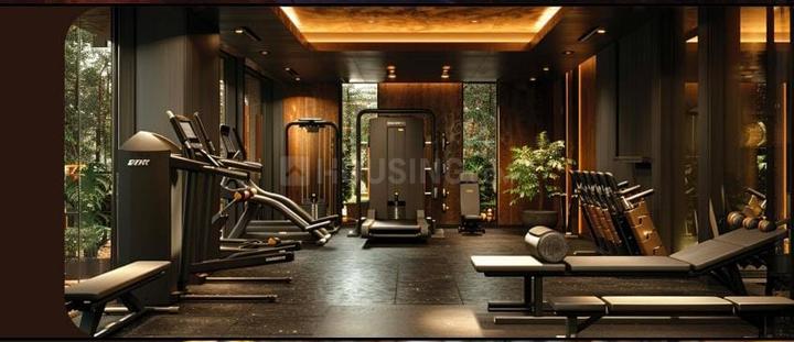 Renox Thrive Main Image 1