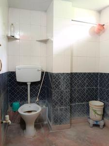 Common Bathroom One Image of 630 Sq.ft 2 BHK Apartment / Flat for rent in Mourigram Howrah for Rs. 8300