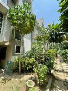 Image of 3000 Sq.ft 4 BHK Villa for rent in Sola, Ahmedabad for Rs. 42000