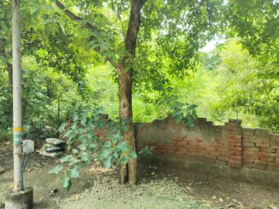 Image of 500 Sq.ft Residential Plot / Land for sale in Sigma 1, Greater Noida for Rs. 60000000