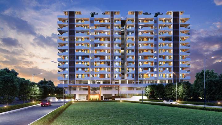 Orange Acacia Main Image 1