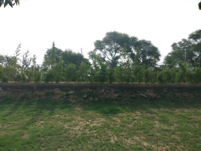Image of 165 Sq.ft Residential Plot / Land for sale in Omaxe City, Tajupur, Faridabad for Rs. 23100000