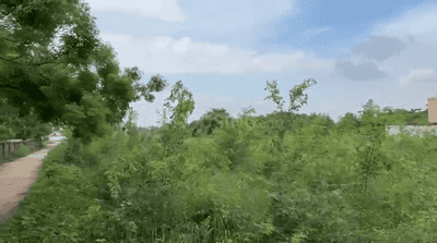 Image of 435 Sq.ft Residential Plot / Land for sale in Simaliya, Ranchi for Rs. 1300000