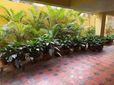 Balcony Image of 2050 Sq.ft 3 BHK Apartment / Flat for sale in JP Nagar Bengaluru for Rs. 39000000