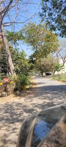 Image of 1000 Sq.ft Residential Plot / Land for sale in Palam Vihar, Gurgaon for Rs. 195000000