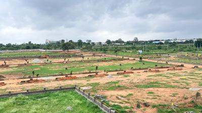 Kasa Iconic 6 Plot View 3