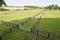 Kothimbe Main Image 1