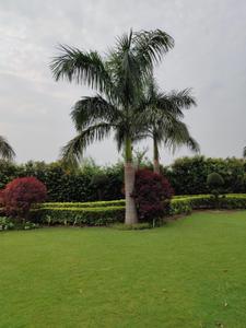 Image of 9800 Sq.ft 3 BHK Farm House for sale in Sikanderpur, Greater Noida for Rs. 8450000