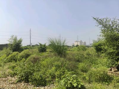 Image of 60 Sq.ft Residential Plot / Land for sale in Bhanauta, Greater Noida for Rs. 2114900
