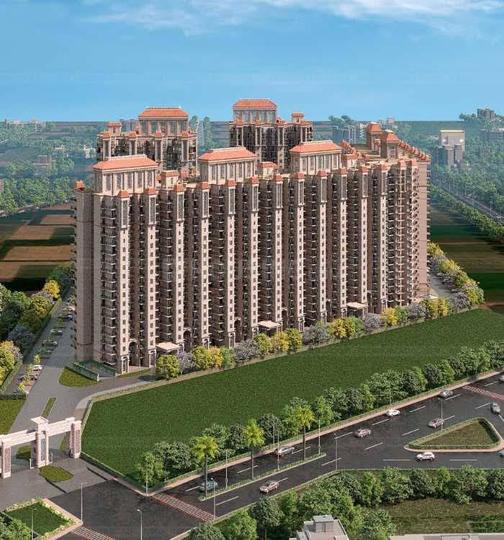 Pholriwal Main Image 1