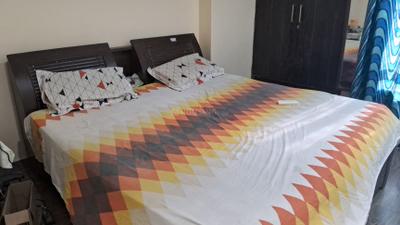 Bedroom Image of 910 Sq.ft 2 BHK Apartment / Flat for rent in  Gaur City 4th Avenue, Noida Extension Greater Noida for Rs. 23000