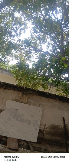 Omicron 3 Main Image 1