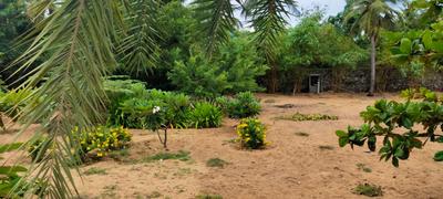 Image of 9600 Sq.ft Residential Plot / Land for sale in Injambakkam, Chennai for Rs. 138000000