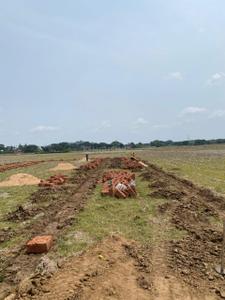 Image of 2000 Sq.ft Residential Plot / Land for sale in Dhauli, Bhubaneswar for Rs. 3500000