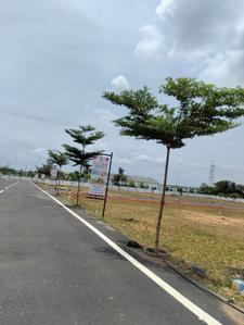Image of 1350 Sq.ft Residential Plot / Land for sale in Kovilpalayam, Coimbatore for Rs. 2138400
