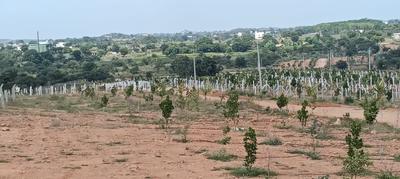 Image of 121 Sq.ft Residential Plot / Land for sale in Keesara, Secunderabad for Rs. 786500