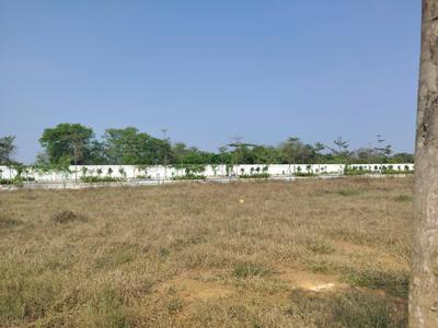 Residential Plot