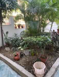 Image of 4500 Sq.ft 4 BHK Builder Floor for rent in Safdarjung Development Area, New Delhi for Rs. 300000