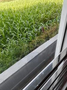 Balcony Image of 1700 Sq.ft 3 BHK Villa for sale in Nirmal Bag Rishikesh for Rs. 8500000