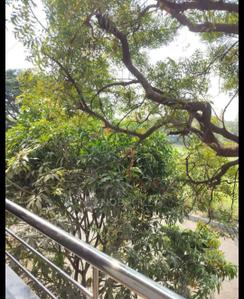 1 BHK Independent House