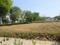 Golden Gate Residency Main Image 1