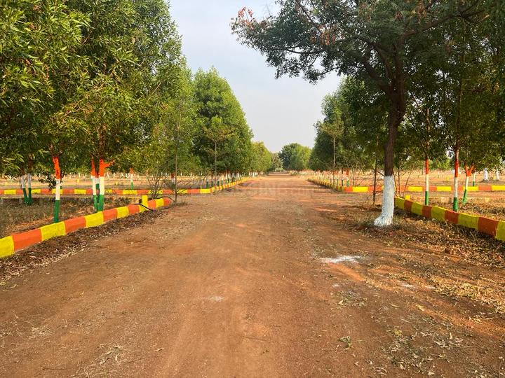 ROYAL RAJPUTANA CO Main Image 1