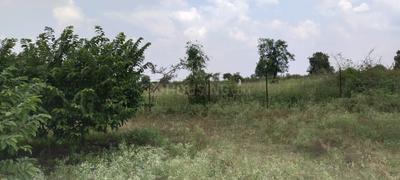 Image of 10000 Sq.ft Residential Plot / Land for sale in Rahatgaon, Amravati for Rs. 27700000