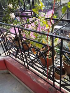 Balcony Image of 600 Sq.ft 2 BHK Apartment / Flat for sale in Behala Kolkata for Rs. 2200000