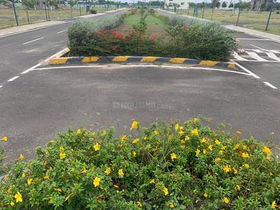Peedampalli Plot View 3