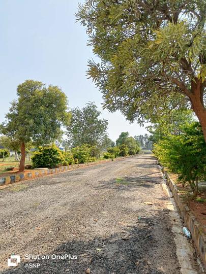 Thattanahalli Main Image 1